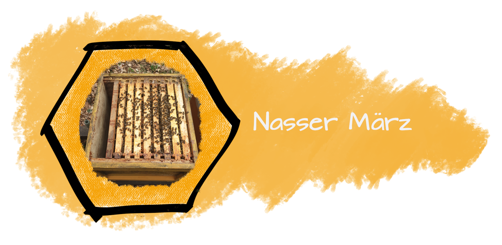Nass, nasser, März…
